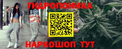 СК Гусь-Хрустальный