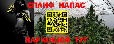 каннабис Дубна