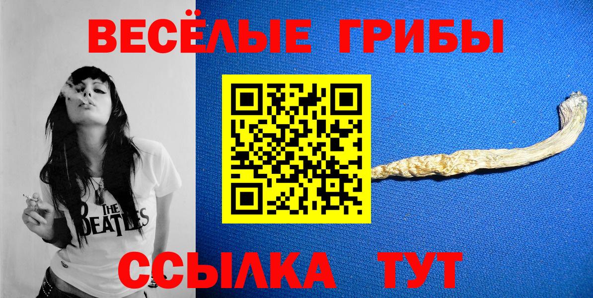 Псилоцибиновые грибы GOLDEN TEACHER  Вход с VPN  Зима 